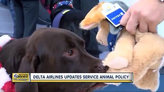 Delta Airlines updates service animal policy