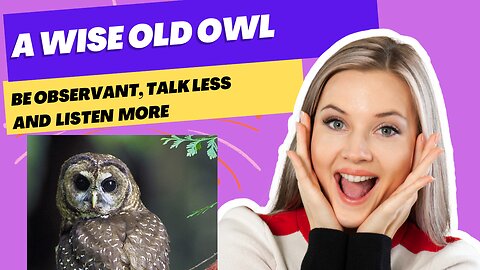A Wise Old Owl: Talk less and Listen More
