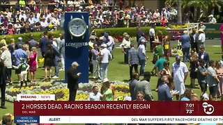 2 horses die at Del Mar Racetrack, first deaths of summer racing season