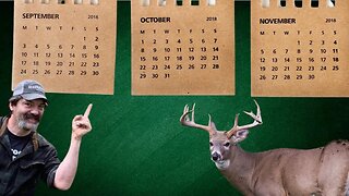 What month has Dan shot his top bucks in?