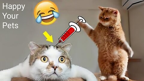 Funny Animals 2024 😂 Cute Cat And Dog Funny Videos 😸 Part 139