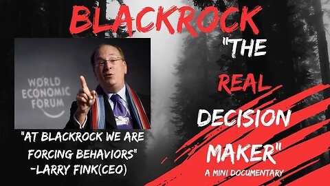 Blackrock The Real decision maker A mini documentary that showcases Blackrock evil Intent