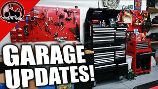 What's New In My Garage? - Bike N' Bird Garage Tour