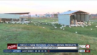 Circle C Farm offers pasture tours on Saturday through March