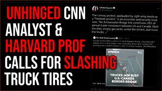 Unhinged Harvard Professor And CNN Analyst Tells People To Slash Convoy Truck Tires In Insane Tweet