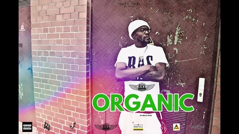 Ras Victory - Organic (Official Audio) RV-Beatz Prod