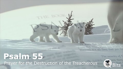 PSALM 055 // PRAYER FOR THE DESTRUCTION OF THE TREACHEROUS