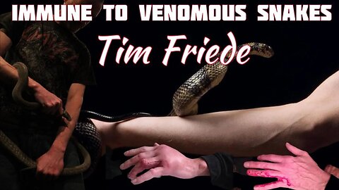 Tim Friede bit by 100's of DEADLY SNAKES and survived #snake #venous