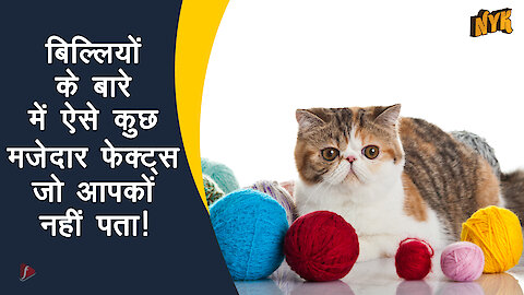 Cats के बारे मे ऐसे कुछ Interesting Facts जो आपको नही पता !!!