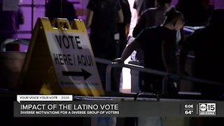 Impact of the Latino vote in Arizona