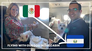 AMAZING EXPERIENCE TRAVELING WITH OUR DOG IN THE CABIN FROM MEXICO TO EL SALVADOR