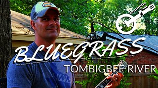 Tombigbee River / Gum Tree Canoe