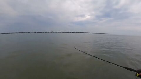 2 days TARPON FISHING in South Carolina-6