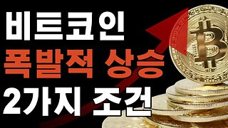 반감기와 현물ETF 8월5일 코인뉴스|쩔코TV