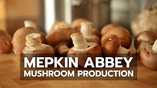 Mepkin Abbey Mushroom Production