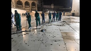 BREAKING: Locust Swarm Descends on Muslim Worshippers at Mecca