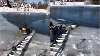 Hund sitter fast i frossen innsjø og blir reddet