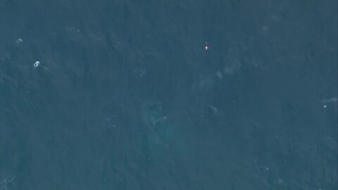 CHOPPER 5 VIDEO: Small plane found after crashing near Boynton Beach Inlet