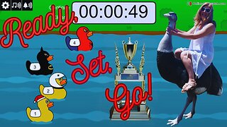 Live Duck Race #5 | WIN! WIN! WIN! | Fun Friday | Intrepids