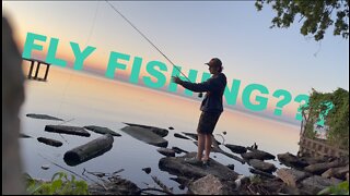 Drone Footage of Schooling Gar and Catfish!!! (First Time Fly Fishing???)