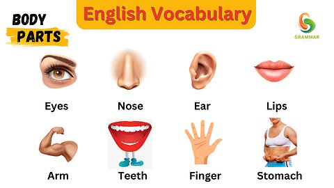 25+ Body Parts Vocabulary | Listen and Practice