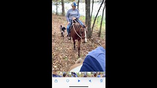 Horseback riding through the wooded trails in Alabama