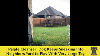 Palate Cleanser: Dog Keeps Sneaking Into Neighbors Yard to Play With Very Large Toy