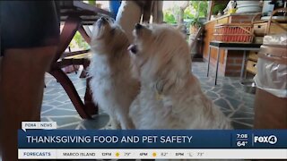 Thanksgiving foods that are dangerous for pets