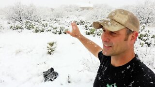 Snow in the Desert... A Walk and Talk