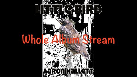 "Little Bird" by Aaron Hallett Whole Album