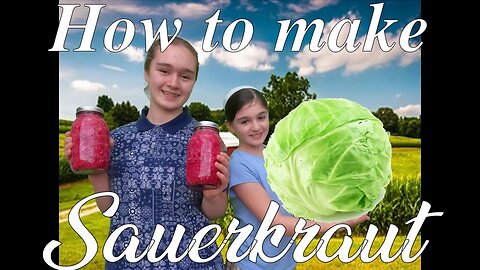 How to make Sauerkraut- Quick and Easy way to Ferment cabbage