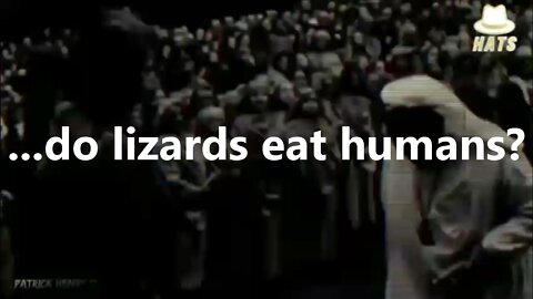 ...do lizards eat humans?