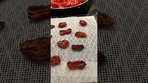 Dried Tomatoes (dehydrator)