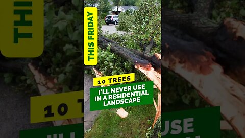10 Trees to AVOID in your Residential Landscape | Coming Friday