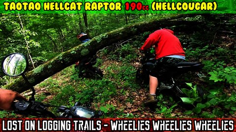 (E36) Lost in NY logging trails, grom wheelies, wheelies n more wheelies Hellcat hellcougar