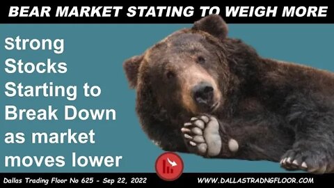 BEAR MARKET STATING TO WEIGH MORE