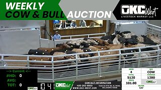 4/17/2023 - OKC West Weekly Cow & Bull Auction