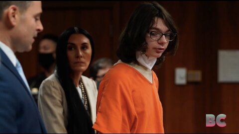 Michigan teen pleads guilty to killing 4 in school shooting