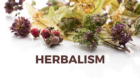 Herbs & Plant Chemistry