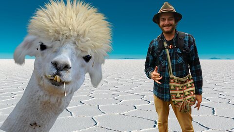 Rodeo Riding a Wild Llama into the Bolivian Sunset