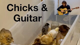 Chicks React to Guitar