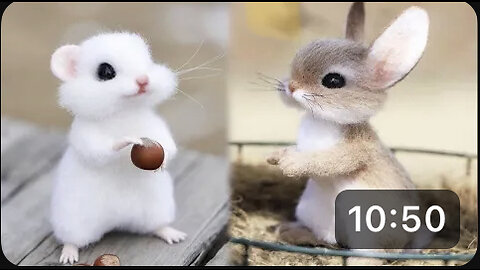 AWW SO CUTE! Cutest baby animals Videos Compilation Cute moment of the Animals - Cutest Animals #44