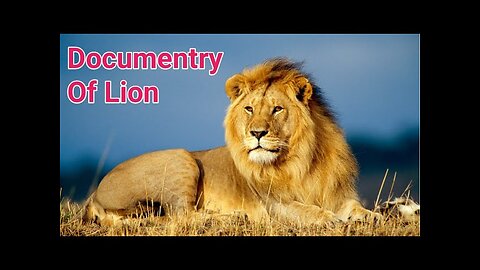 lion documentary hd, documentary hd, documentry of lion in english