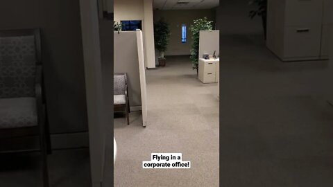 DJI MINI 2 Flying indoors in a corporate office!