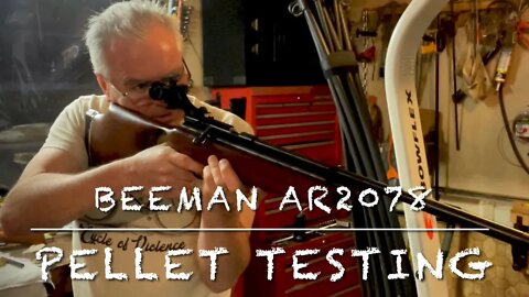 Pellet testing with the Beeman AR2078. Geco and Rifle Cutter wadcutters. Such a great shooter!