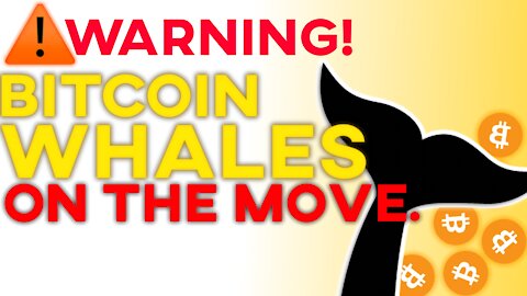 Warning! Bitcoin Whales on the move…