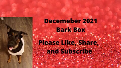Bella's December Bark Box
