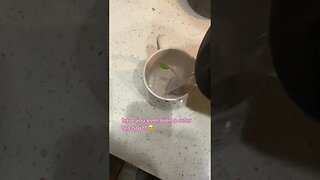 Cute Tea Bag Tiktok kaiahf