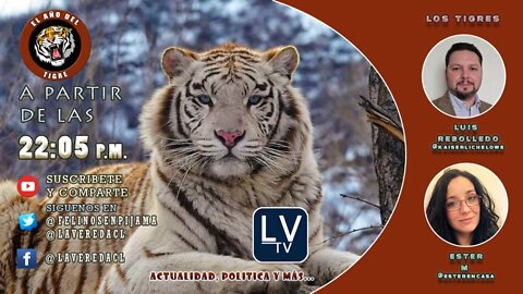 "El Año del Tigre" Ep. 09 Actualidad, Contingencia e Irreverencia Salvaje.