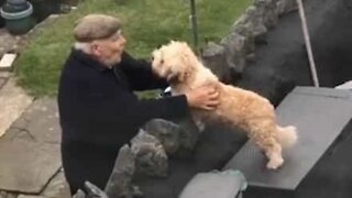Dog shares loving relationship with neighbor